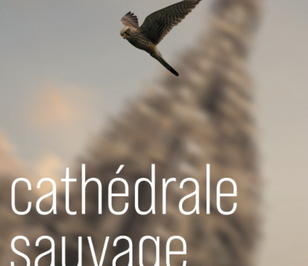 CATHEDRALE SAUVAGE